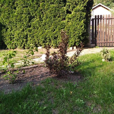 Apartment U Sarky Loket Zewnętrze zdjęcie