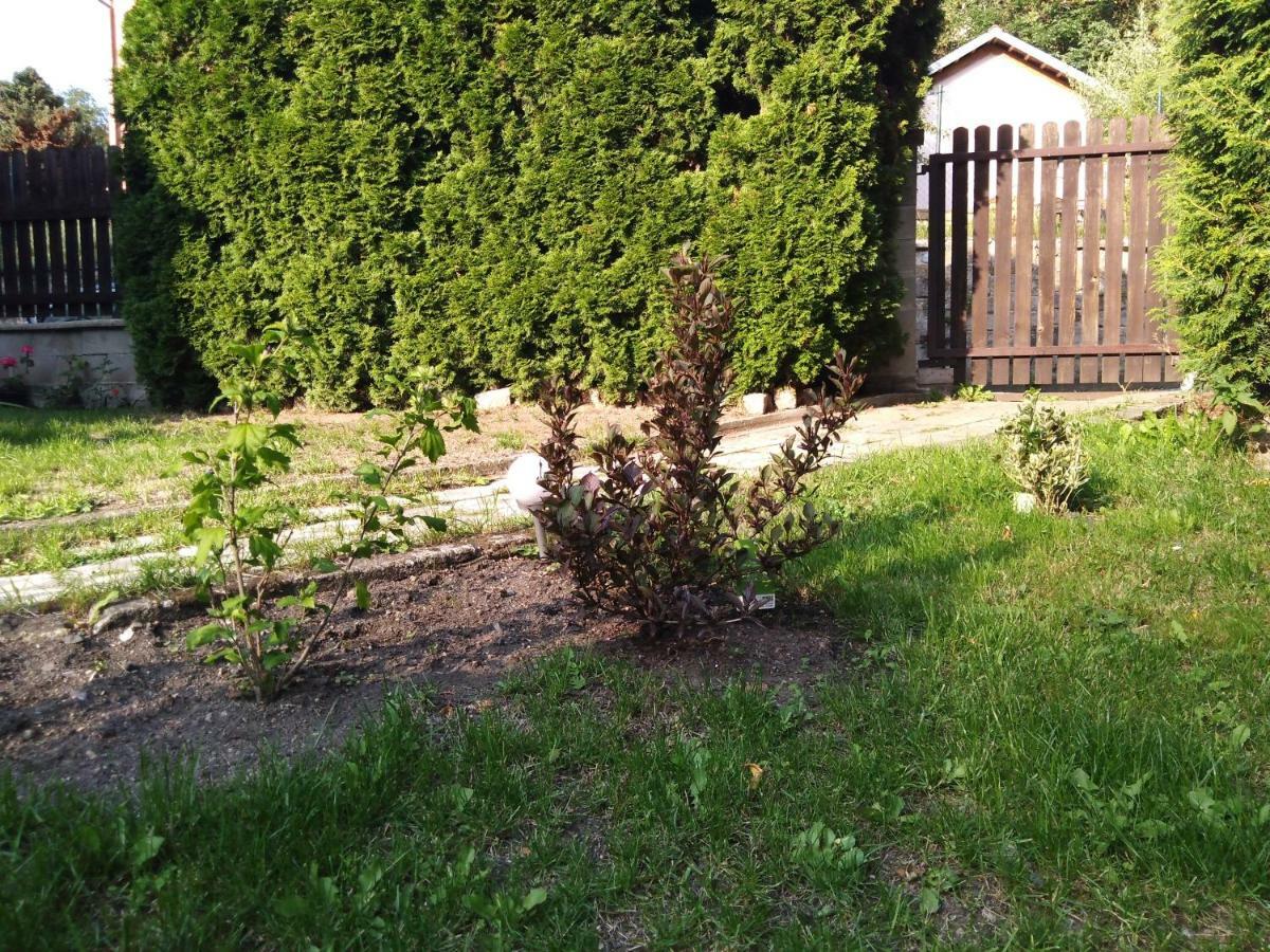 Apartment U Sarky Loket Zewnętrze zdjęcie